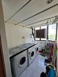 Pandan Valley (D21), Condominium #571397251